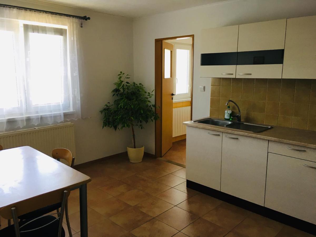 Ubytování U Ropáků Horní Slavkov Exterior foto